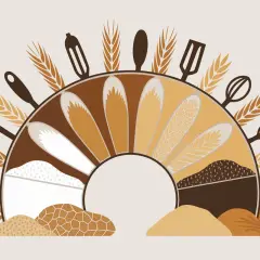 Illustration d'ustensiles de cuisine et d'épis de blé entourant un éventail de différentes farines, dont la farine de froment gluten, symbolisant la boulangerie.