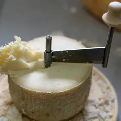 Un fromage Tête de Moine d'origine suisse est coupé en rosaces avec une girolle, révélant sa texture délicate.