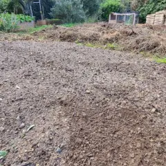 Vaste tas de terre dure comme de la pierre, prête pour le jardinage. Des débris végétaux et des feuilles jonchent le sol.