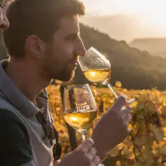 Un homme et une femme dégustent du vin jaune dans un vignoble au coucher du soleil. L'origine du vin jaune du Jura est mise en valeur par la lumière dorée.