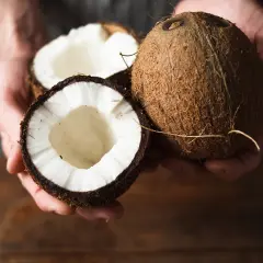 Comment choisir une noix de coco : une noix entière et une coupée en deux, révélant sa chair blanche et son eau.