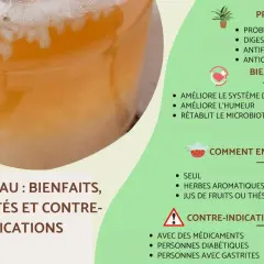 Kéfir d'eau : ses bienfaits pour la digestion, l'humeur et le microbiote. Il est riche en probiotiques et antioxydants.