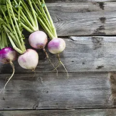 Quatre navets frais, aux teintes violettes et blanches, reposent sur un bois vieilli. Leurs fanes vertes s'étirent, évoquant le "sang de navet" de la terre.