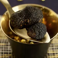 Deux truffes noires, la truffe la plus chère, reposent sur une cuillère dorée au-dessus d'un bol.