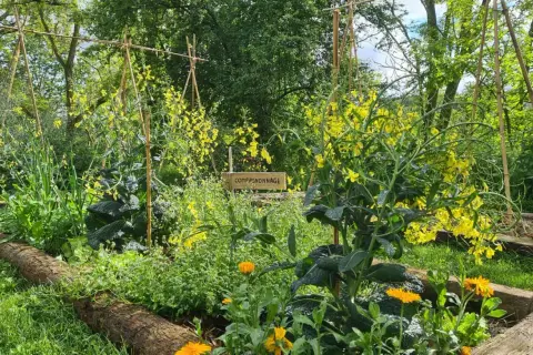 Jardin luxuriant en permaculture, avec des fleurs jaunes et des légumes verts. La signalétique "Compagnonnage" suggère les avantages et inconvénients de l'agriculture biologique.