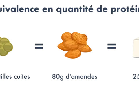 Le graphique montre qu'un végétalien peut obtenir ses protéines de diverses sources : 100g de bœuf équivalent à 300g de lentilles, 80g d'amandes, 250g de tofu ou 4 œufs.