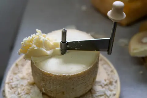 Un fromage Tête de Moine d'origine suisse est coupé en rosaces avec une girolle, révélant sa texture délicate.