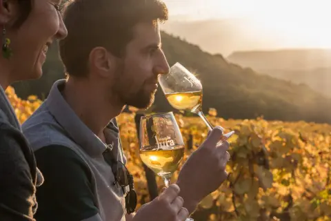 Un homme et une femme dégustent du vin jaune dans un vignoble au coucher du soleil. L'origine du vin jaune du Jura est mise en valeur par la lumière dorée.