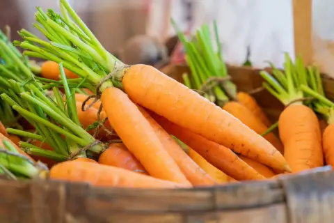 Des carottes fraîches, aux fanes vertes vives, sont présentées dans des caisses en bois. Peut-on manger des carottes molles ? Celles-ci semblent parfaites pour une salade croquante.