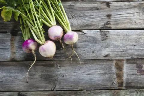 Quatre navets frais, aux teintes violettes et blanches, reposent sur un bois vieilli. Leurs fanes vertes s'étirent, évoquant le "sang de navet" de la terre.