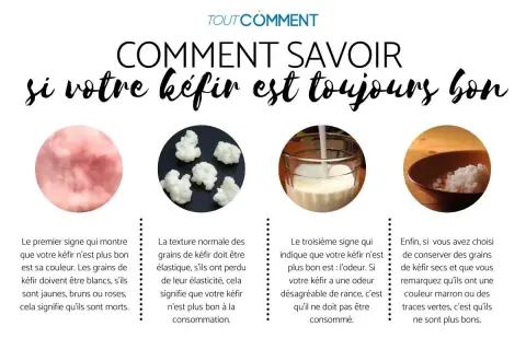 Le kéfir est-il toujours bon à boire ? Vérifiez sa couleur, sa texture et son odeur. Des grains blancs et élastiques sont un bon signe.