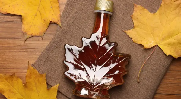 Bouteille en forme de feuille d'érable remplie de sirop d'érable ambré, entourée de feuilles d'automne. Le sirop d'érable, c'est quoi ? Un délice naturel.