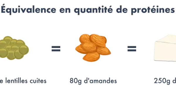 Le graphique montre qu'un végétalien peut obtenir ses protéines de diverses sources : 100g de bœuf équivalent à 300g de lentilles, 80g d'amandes, 250g de tofu ou 4 œufs.