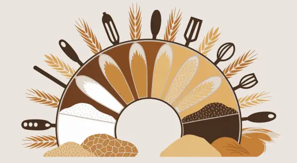 Illustration d'ustensiles de cuisine et d'épis de blé entourant un éventail de différentes farines, dont la farine de froment gluten, symbolisant la boulangerie.