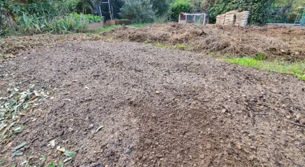 Vaste tas de terre dure comme de la pierre, prête pour le jardinage. Des débris végétaux et des feuilles jonchent le sol.