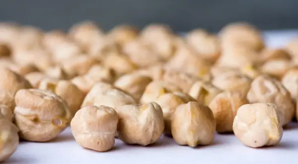 Grains de pois chiche, rappelant leur origine méditerranéenne, sur un fond flou.