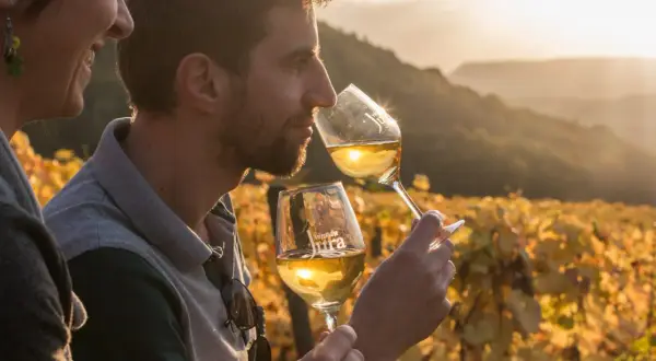 Un homme et une femme dégustent du vin jaune dans un vignoble au coucher du soleil. L'origine du vin jaune du Jura est mise en valeur par la lumière dorée.