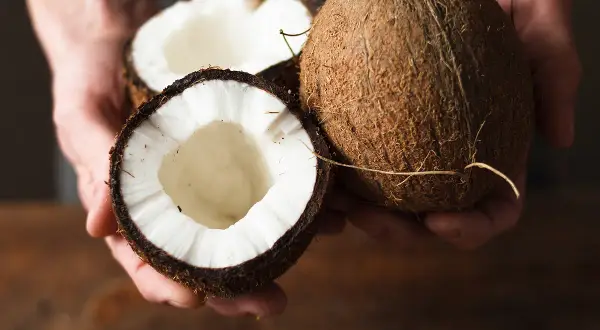 Comment choisir une noix de coco : une noix entière et une coupée en deux, révélant sa chair blanche et son eau.