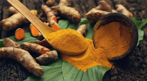 Racines de curcuma et poudre dorée sur une feuille verte, une cuillère en bois débordant de curcuma.