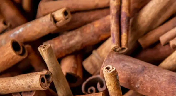 Bâtonnets de cannelle, une épice appréciée pour son arôme. Attention aux cannelle effets secondaires si consommée en excès.
