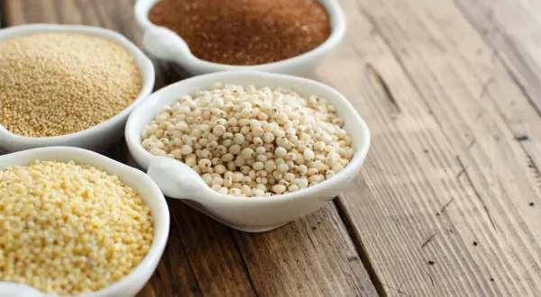 Quatre bols de céramiques blanches présentent diverses céréales sans gluten : millet, sorgho, quinoa et amarante.