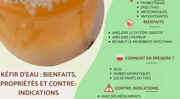 Kéfir d'eau : ses bienfaits pour la digestion, l'humeur et le microbiote. Il est riche en probiotiques et antioxydants.