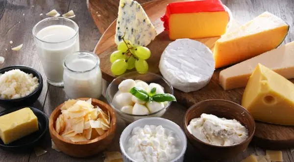 Assortiment de fromages et produits laitiers, dont certains sont considérés comme le meilleur fromage pour la santé.