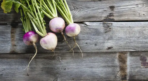 Quatre navets frais, aux teintes violettes et blanches, reposent sur un bois vieilli. Leurs fanes vertes s'étirent, évoquant le "sang de navet" de la terre.