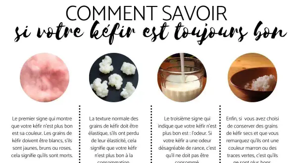 Le kéfir est-il toujours bon à boire ? Vérifiez sa couleur, sa texture et son odeur. Des grains blancs et élastiques sont un bon signe.