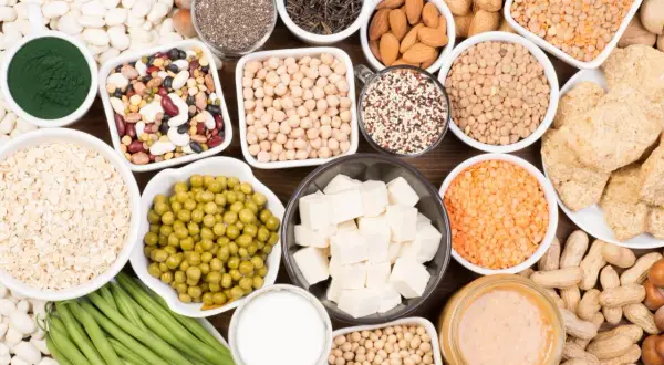 Un assortiment de bols et d'assiettes remplis d'aliments riches en protéines végétales : lentilles, pois chiches, haricots, tofu, noix, graines, avoine, edamame, beurre de cacahuète.