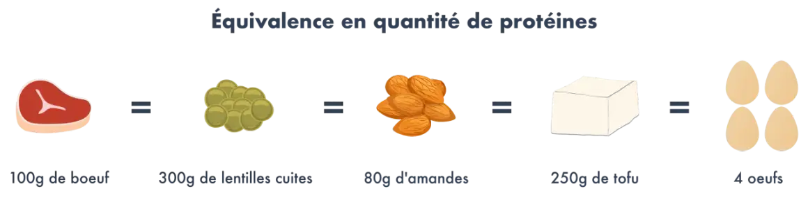 Le graphique montre qu'un végétalien peut obtenir ses protéines de diverses sources : 100g de bœuf équivalent à 300g de lentilles, 80g d'amandes, 250g de tofu ou 4 œufs.