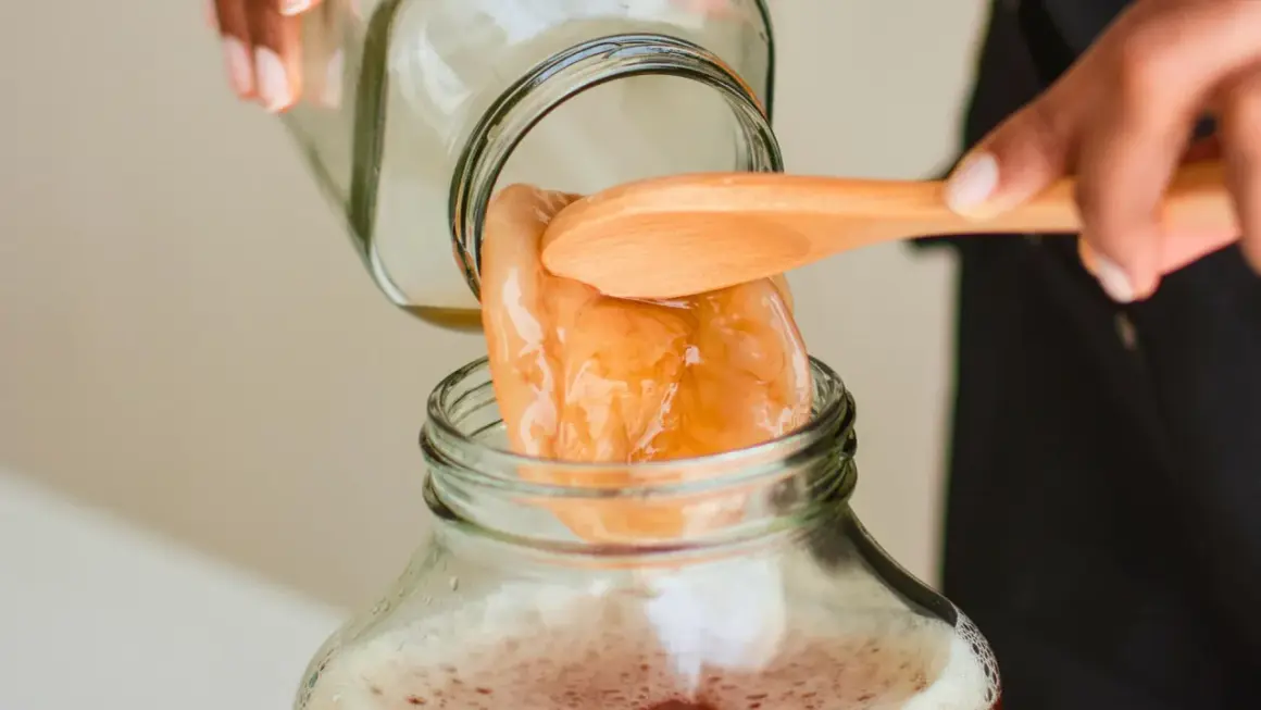 Une main dépose un SCOBY dans un bocal pour une recette de kombucha maison.