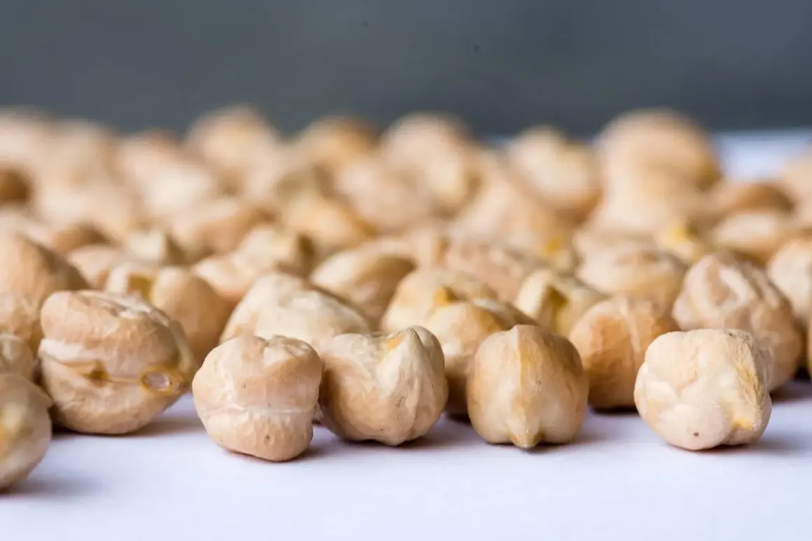 Grains de pois chiche, rappelant leur origine méditerranéenne, sur un fond flou.