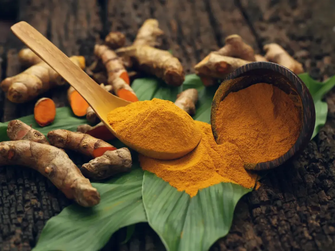 Racines de curcuma et poudre dorée sur une feuille verte, une cuillère en bois débordant de curcuma.