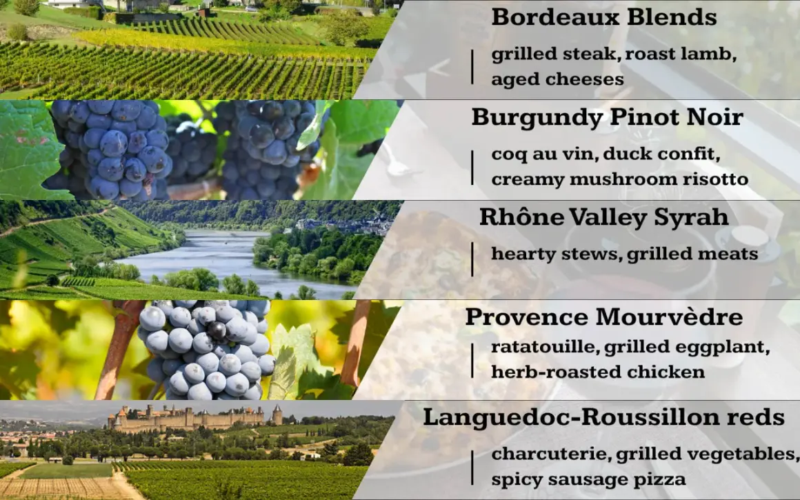 Une liste de vins rouges français, des vignobles de Bordeaux aux grappes de Bourgogne, avec des suggestions d'accords mets.