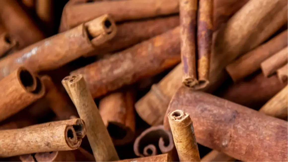 Bâtonnets de cannelle, une épice appréciée pour son arôme. Attention aux cannelle effets secondaires si consommée en excès.
