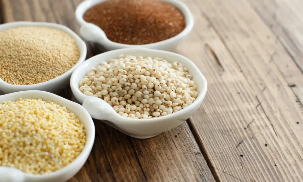 Quatre bols de céramiques blanches présentent diverses céréales sans gluten : millet, sorgho, quinoa et amarante.