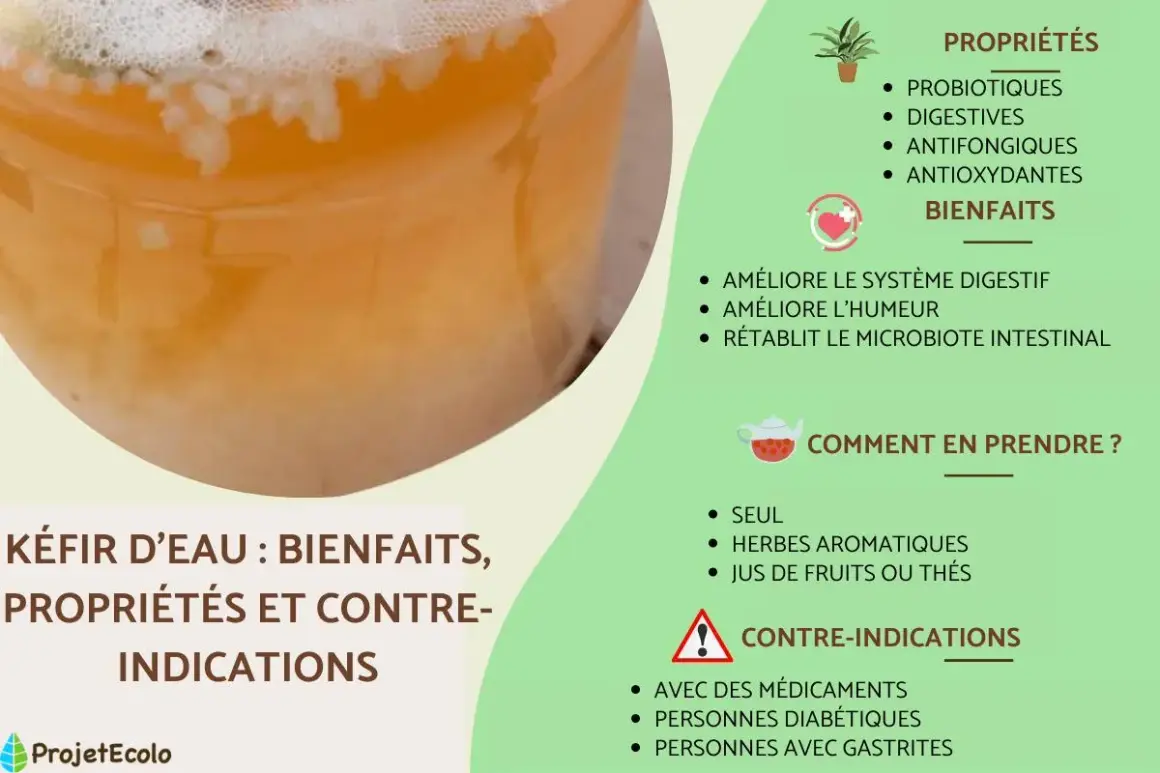 Kéfir d'eau : ses bienfaits pour la digestion, l'humeur et le microbiote. Il est riche en probiotiques et antioxydants.