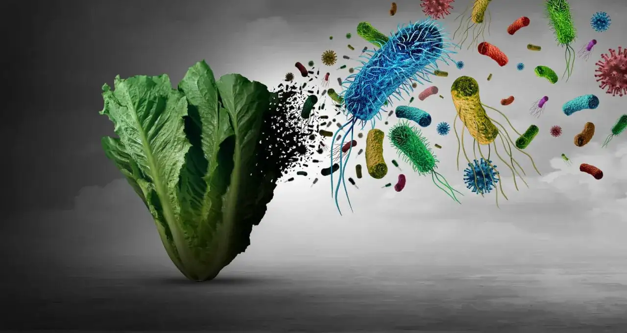 Laitue se d&eacute;sint&egrave;gre en particules noires, envahie par des bact&eacute;ries et virus, illustrant le danger des l&eacute;gumes crus toxiques.