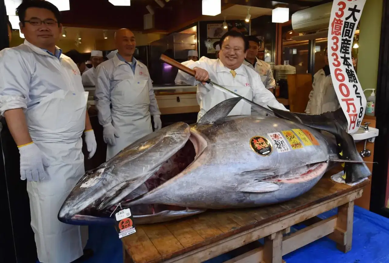 Un homme souriant s'apprête à découper un thon géant, le poisson le plus cher au kilo, sur une table en bois.
