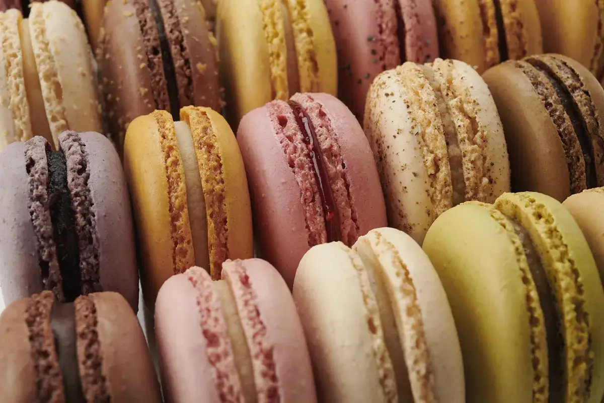 Une farandole de macarons color&eacute;s, aux saveurs vari&eacute;es. Ces petites douceurs, dont on dit qu'elles viennent d'Italie, nous font voyager par leur gourmandise.