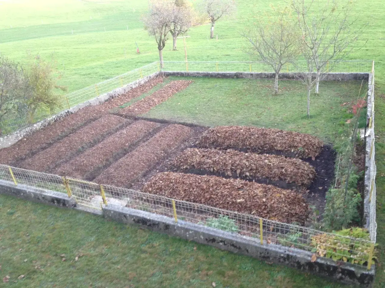Jardin potager avec des rang&eacute;es de feuilles mortes sur un sol argileux. Avantages : r&eacute;tention d'eau. Inconv&eacute;nients : drainage lent.