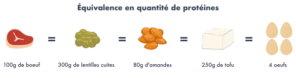 Le graphique montre qu'un végétalien peut obtenir ses protéines de diverses sources : 100g de bœuf équivalent à 300g de lentilles, 80g d'amandes, 250g de tofu ou 4 œufs.