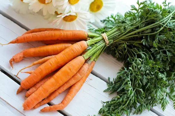 Un bouquet de carottes fraîches, prêtes à être cuisinées, évoque la culture carotte et la douceur des champs.
