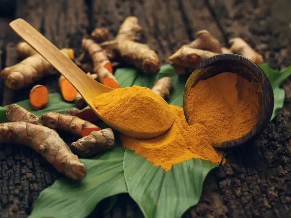 Racines de curcuma et poudre dorée sur une feuille verte, une cuillère en bois débordant de curcuma.