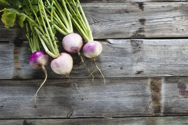 Quatre navets frais, aux teintes violettes et blanches, reposent sur un bois vieilli. Leurs fanes vertes s'étirent, évoquant le "sang de navet" de la terre.