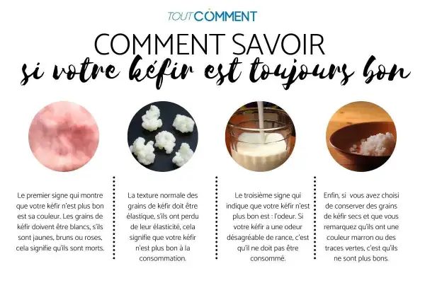 Le kéfir est-il toujours bon à boire ? Vérifiez sa couleur, sa texture et son odeur. Des grains blancs et élastiques sont un bon signe.